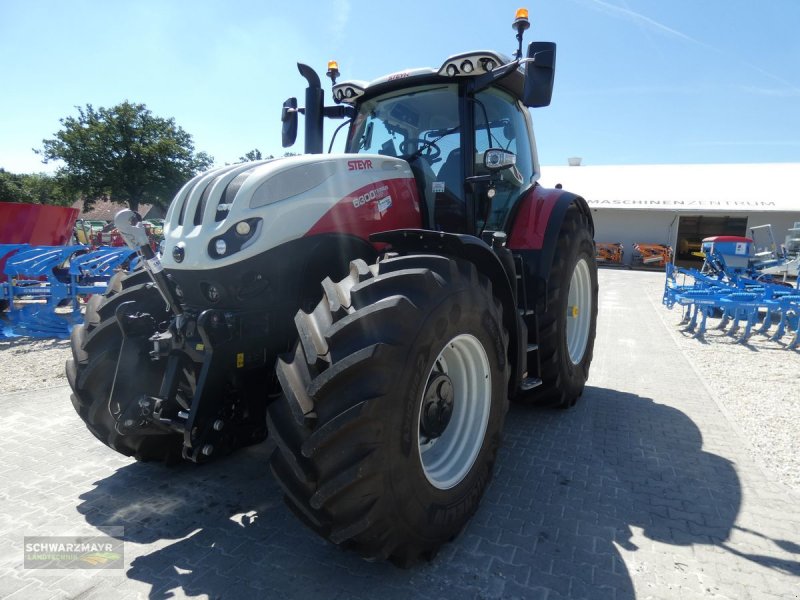 Traktor of the type Steyr 6300 Terrus CVT (Stage V), Mietmaschine in Gampern (Picture 1)