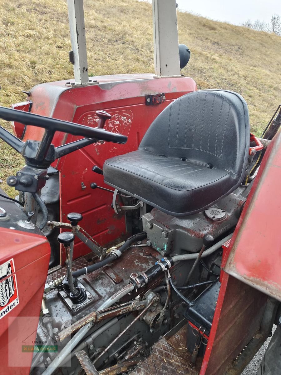 Traktor des Typs Steyr 650, Gebrauchtmaschine in Rohrbach (Bild 3)