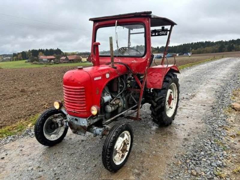 Traktor des Typs Steyr 80, Gebrauchtmaschine in NATTERNBACH (Bild 1)