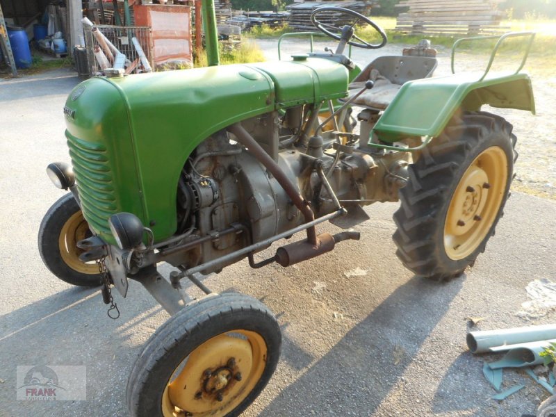 Traktor a típus Steyr 80, Gebrauchtmaschine ekkor: Bad Vigaun (Kép 1)