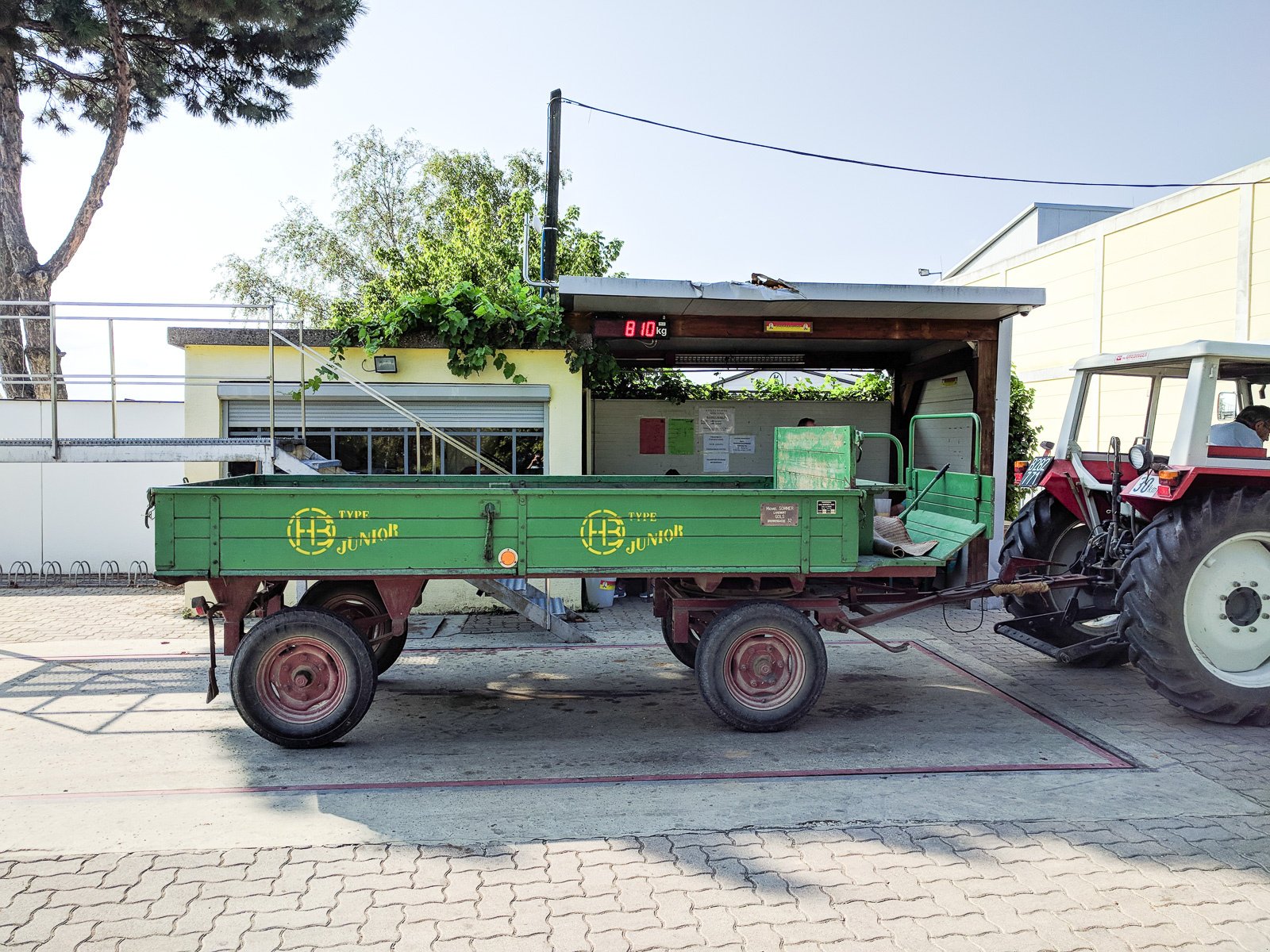 Traktor типа Steyr 8045, Gebrauchtmaschine в Gols (Фотография 3)