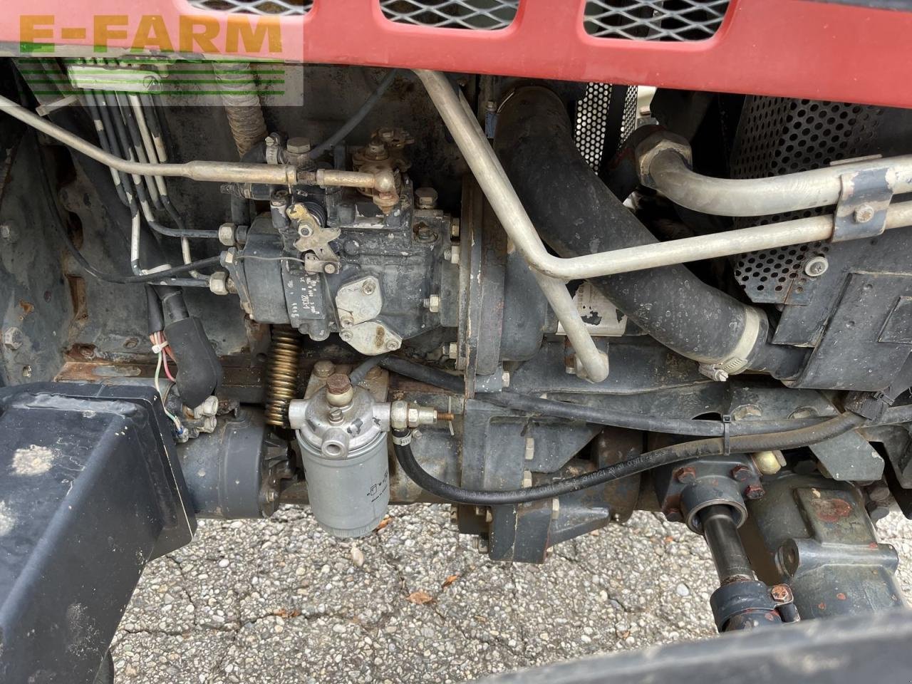 Traktor des Typs Steyr 8075 a, Gebrauchtmaschine in ILZ (Bild 2)