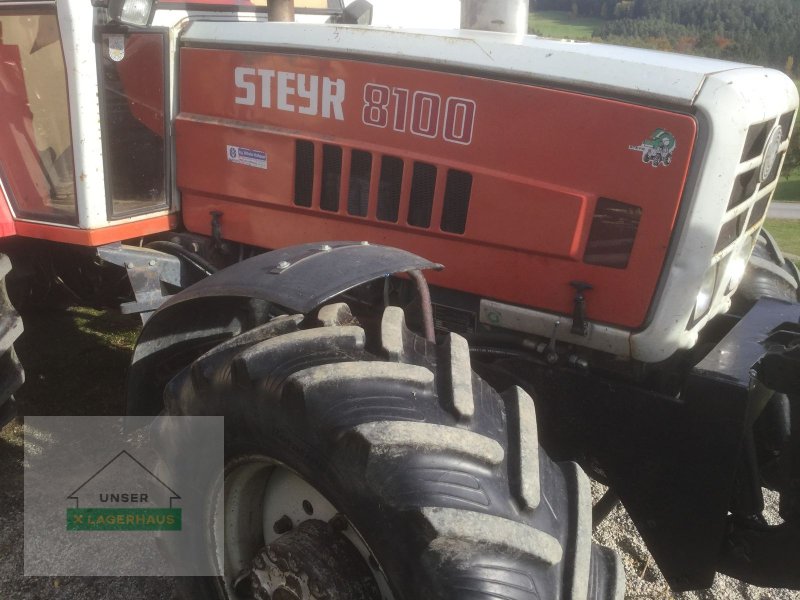 Traktor des Typs Steyr 8100 A, Gebrauchtmaschine in Engerwitzdorf (Bild 1)