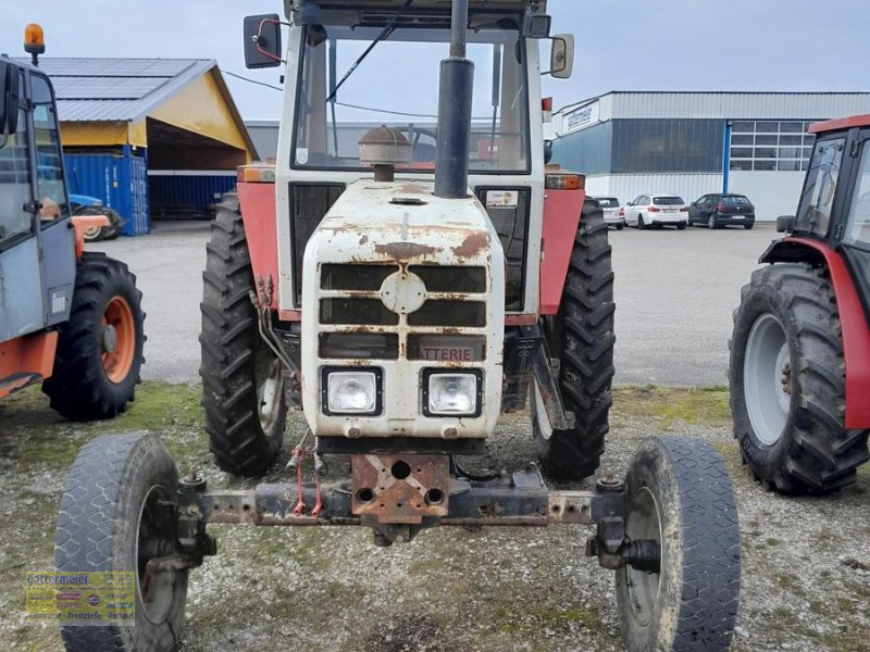 Traktor des Typs Steyr 8100, Gebrauchtmaschine in Eferding (Bild 1)