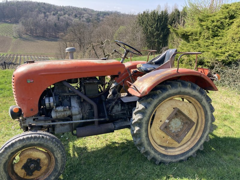 Traktor a típus Steyr 86, Gebrauchtmaschine ekkor: Großsteinbach (Kép 1)