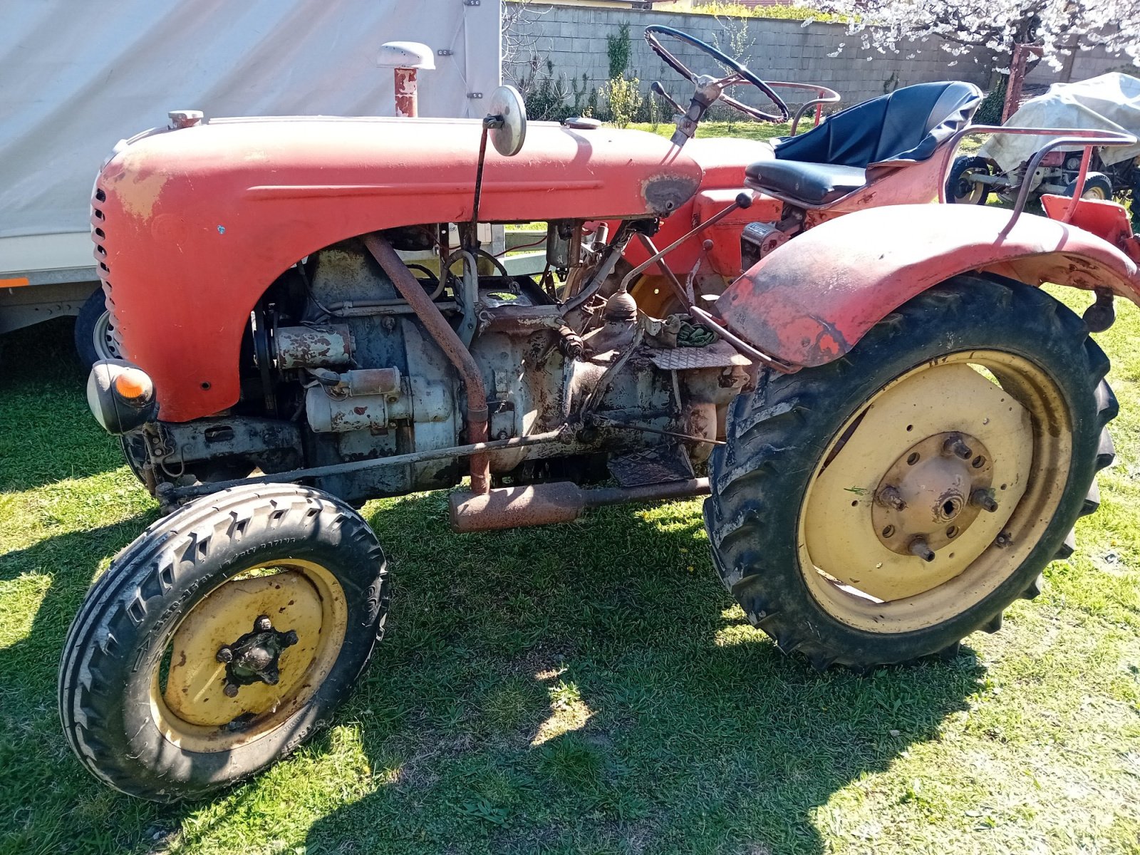 Traktor типа Steyr 86e Jubiläumsmodell, Gebrauchtmaschine в Neusiedl am See (Фотография 1)