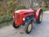 Traktor del tipo Steyr T 190 "S"  Schmalspur, Gebrauchtmaschine In Krems (Immagine 1)