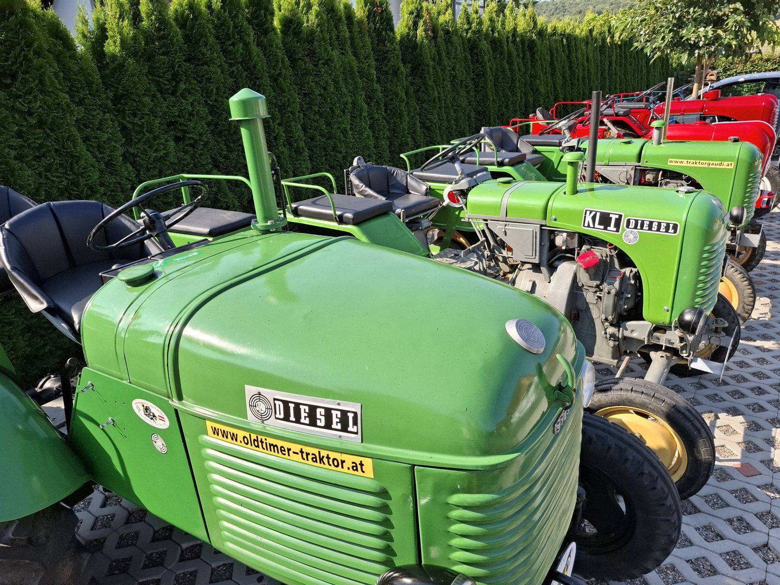 Traktor del tipo Steyr t 80 mit Schnellgang, Gebrauchtmaschine In Deutschlandsberg (Immagine 1)