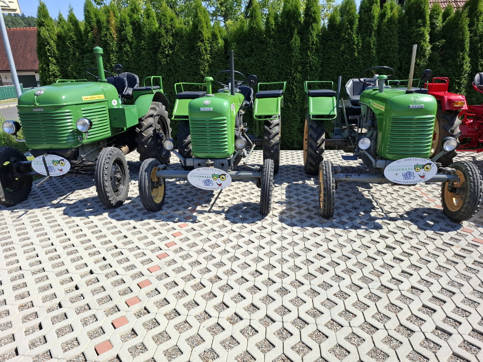 Traktor del tipo Steyr t 80 mit Schnellgang, Gebrauchtmaschine In Deutschlandsberg (Immagine 3)