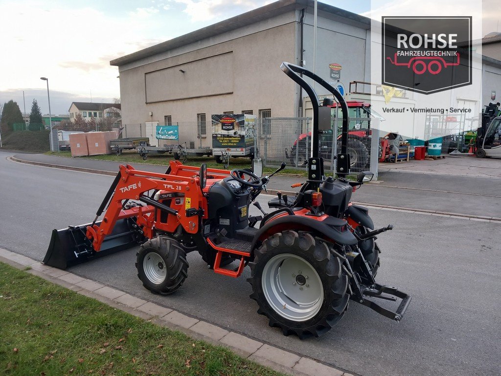 Traktor Türe ait Tafe 6028M Traktor Allrad, Neumaschine içinde Unterwellenborn (resim 14)