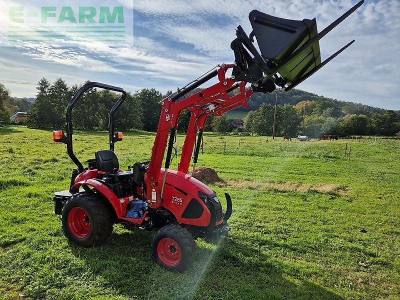 Traktor typu TYM t265 hst, Gebrauchtmaschine v Hamburg (Obrázek 2)