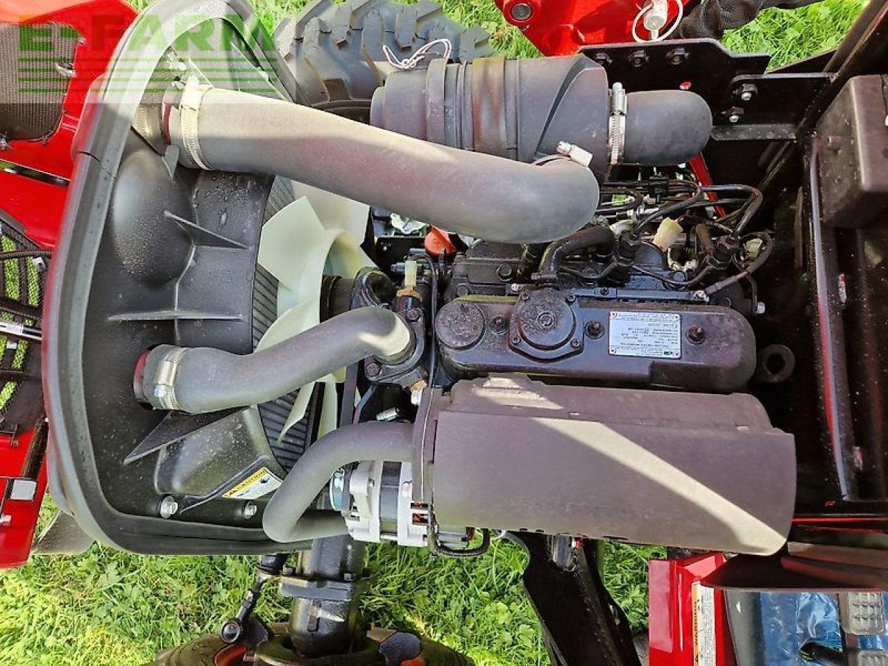 Traktor typu TYM t265 hst, Gebrauchtmaschine v Hamburg (Obrázek 4)