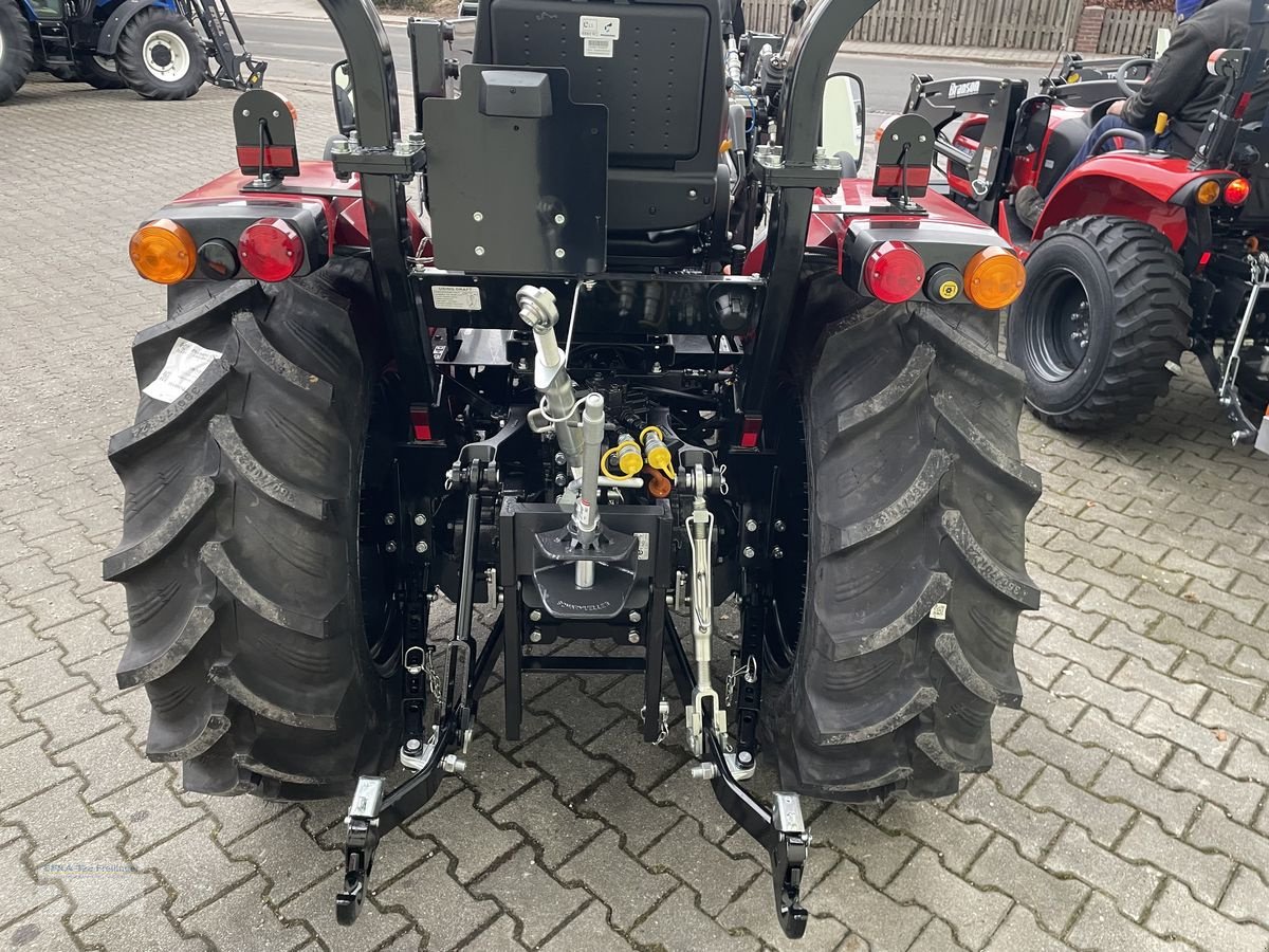 Traktor от тип TYM TYM F50Rn, Neumaschine в Obing (Снимка 4)