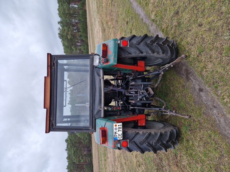 Traktor des Typs Ursus 3512, Gebrauchtmaschine in Bad Belzig  (Bild 1)