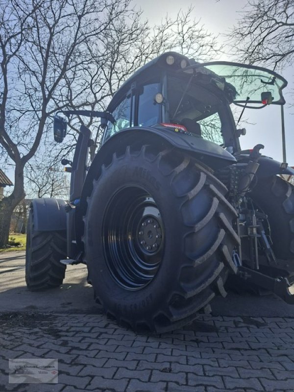 Traktor typu Valtra N175D, Neumaschine w Weiden/Theisseil (Zdjęcie 3)