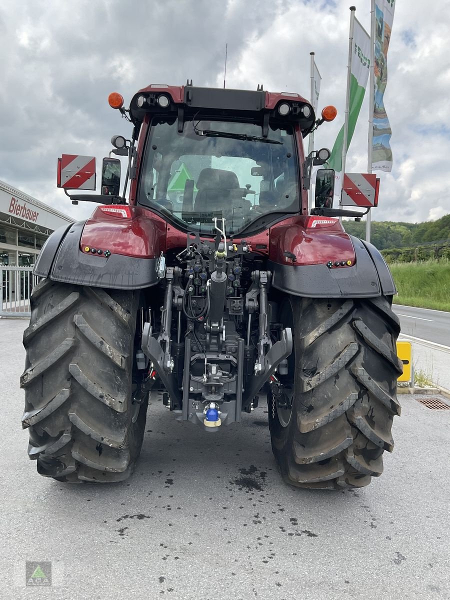 Traktor des Typs Valtra Q 305, Vorführmaschine in Markt Hartmannsdorf (Bild 2)