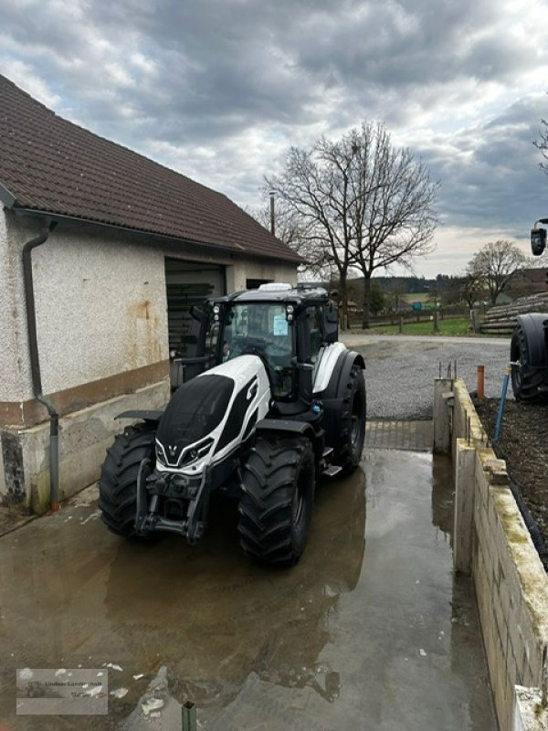 Traktor des Typs Valtra Q305, Gebrauchtmaschine in Weiden/Theisseil (Bild 4)
