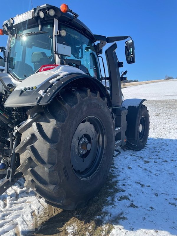 Traktor typu Valtra Q305, Gebrauchtmaschine v Weiden/Theisseil (Obrázek 4)