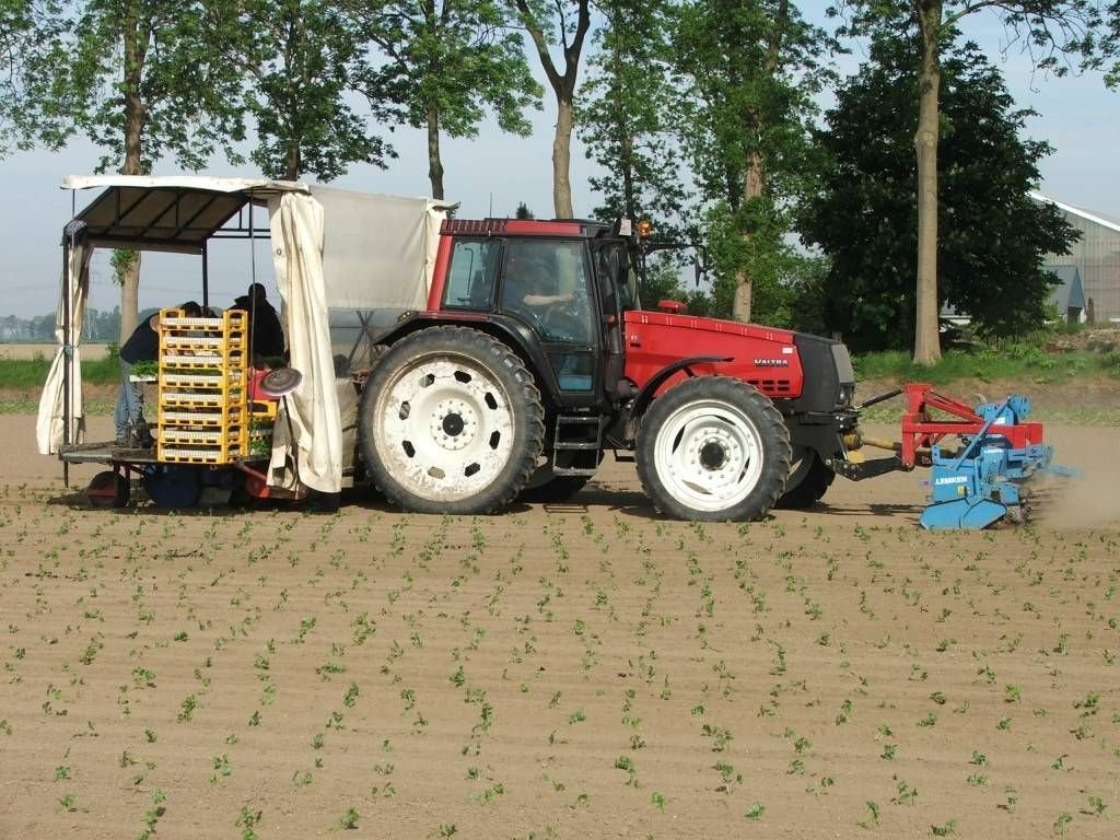 Traktor of the type Valtra Valmet Zuidberg Fronthef, Neumaschine in Marknesse (Picture 10)