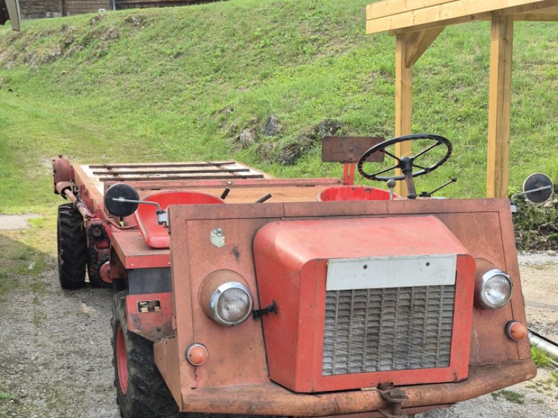 Transporter & Motorkarre of the type FZ/Steyr Cargotrac 12, Gebrauchtmaschine in St.gallen (Picture 1)
