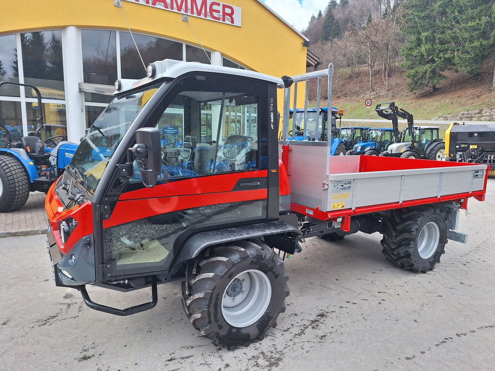 Transportfahrzeug типа Aebi TP 410 mit Kipperbrücke, Gebrauchtmaschine в Burgkirchen (Фотография 11)