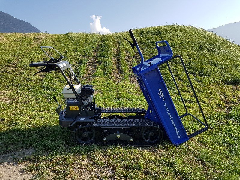 Transportfahrzeug des Typs Iseki XG35-H Raupenkarrette, Neumaschine in Chur (Bild 5)