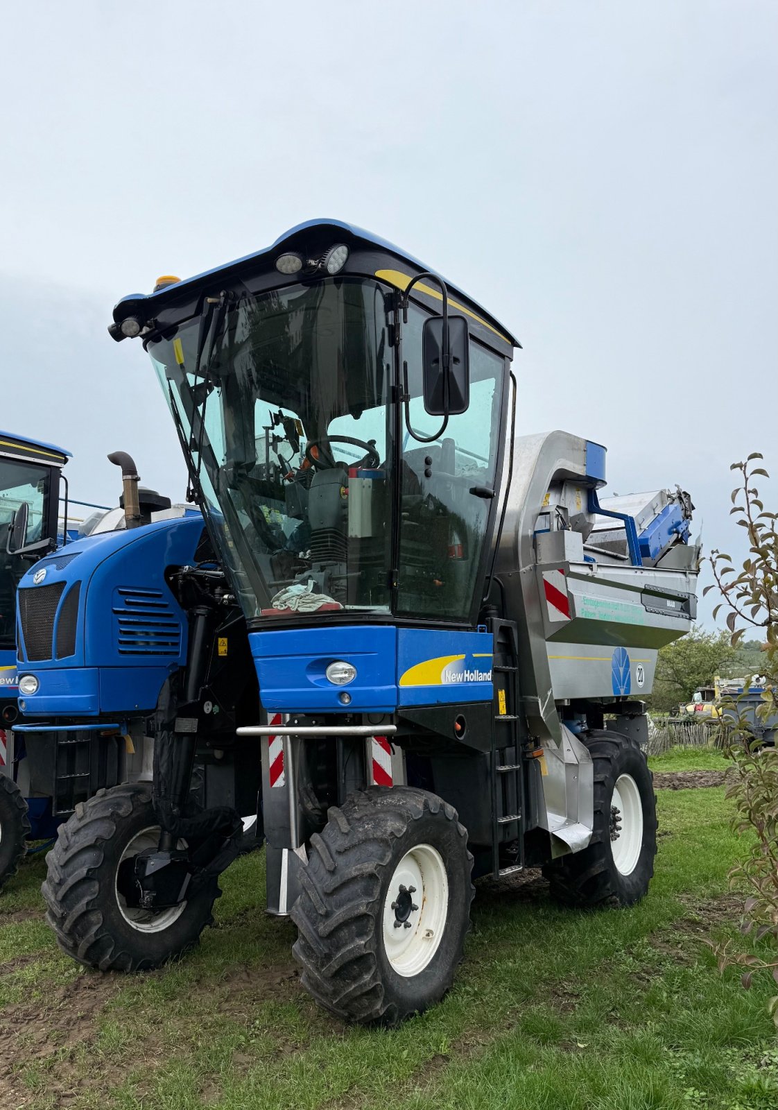 Traubenvollernter of the type Braud VL620, Gebrauchtmaschine in Palzem (Picture 1)