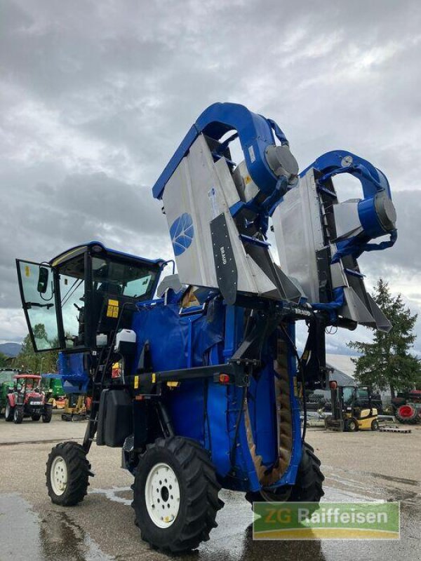 Traubenvollernter tipa New Holland VM 3080, Gebrauchtmaschine u Bühl (Slika 11)