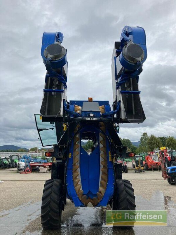 Traubenvollernter tipa New Holland VM 3080, Gebrauchtmaschine u Bühl (Slika 10)