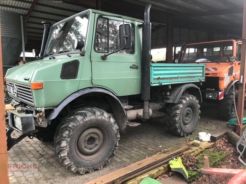 Unimog des Typs Mercedes-Benz U 1000, Gebrauchtmaschine in Bockel - Gyhum (Bild 1)