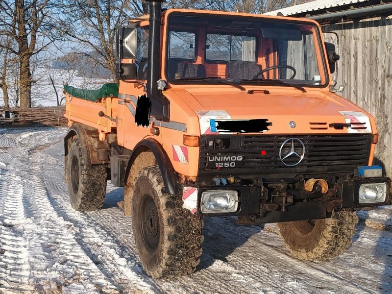 Unimog des Typs Mercedes-Benz Unimog U 1250, Gebrauchtmaschine in Kastl (Bild 1)
