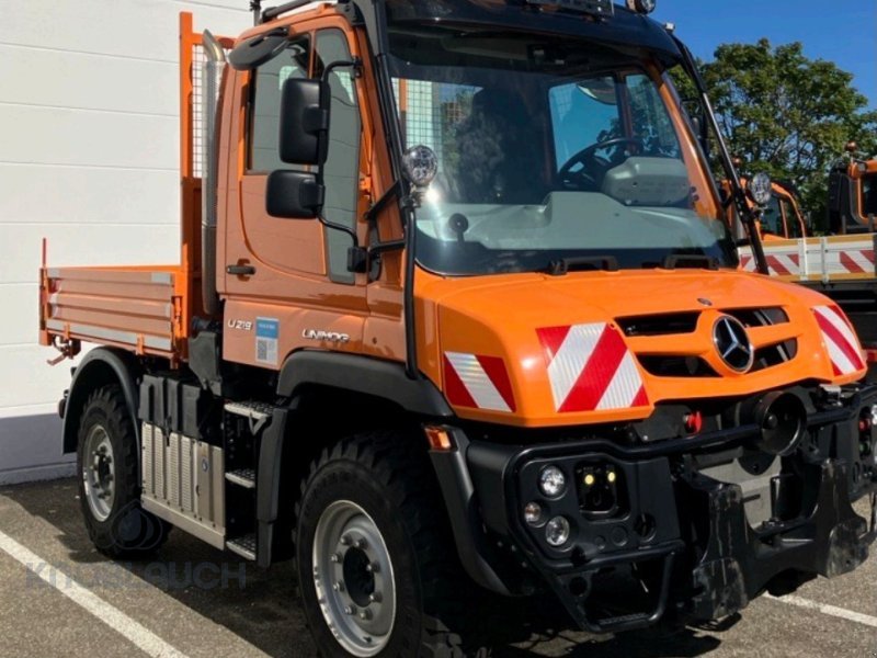 Unimog des Typs Mercedes-Benz Unimog U219, Gebrauchtmaschine in Immendingen (Bild 2)