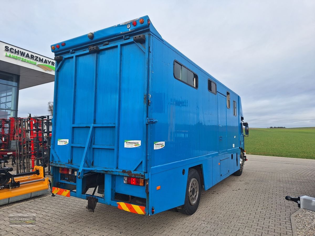 Unimog des Typs Scania 93M 220 Pferdetransporter, Gebrauchtmaschine in Aurolzmünster (Bild 4)