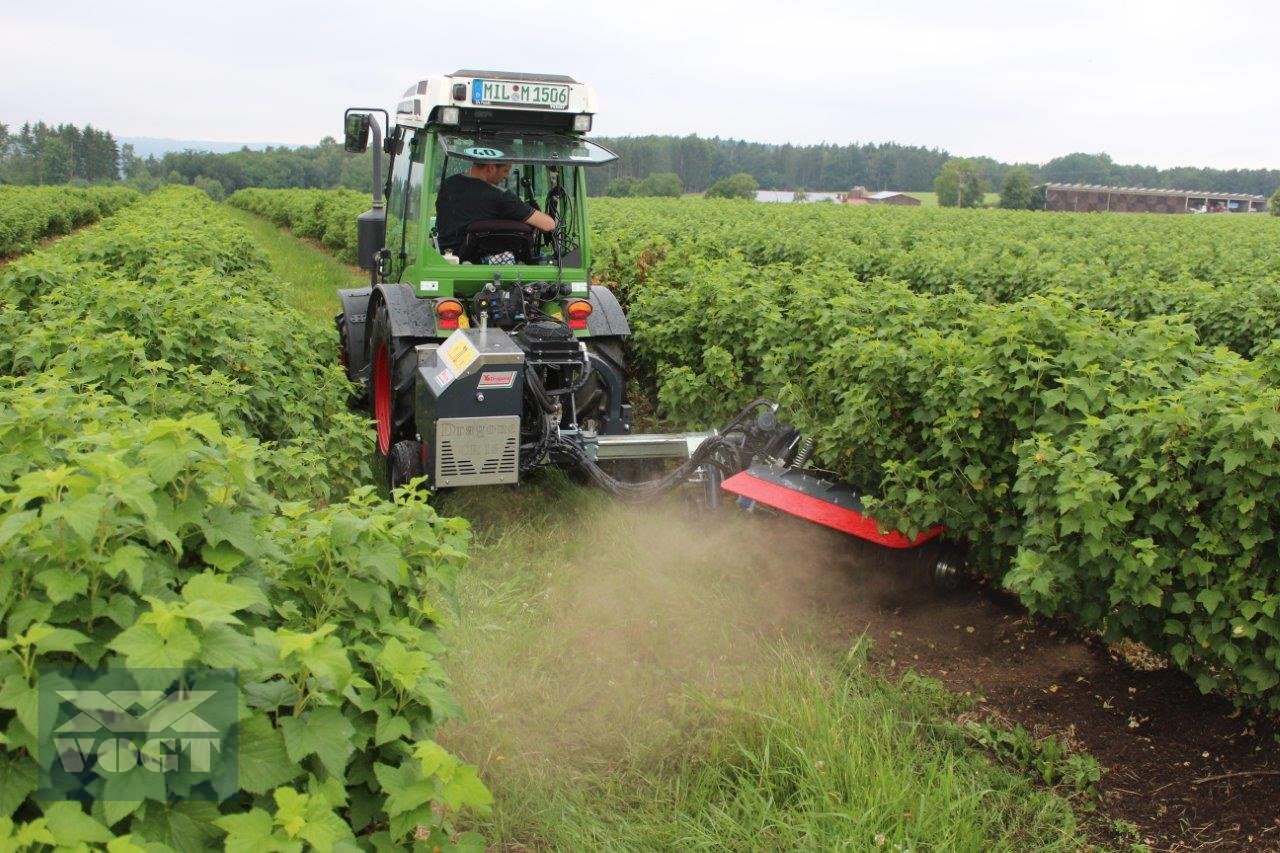 Unterstockmulcher typu DRAGONE CR 65 Fadenmäher für Obst und Weinbau /Reihenkulturen, Neumaschine w Schmallenberg (Zdjęcie 5)