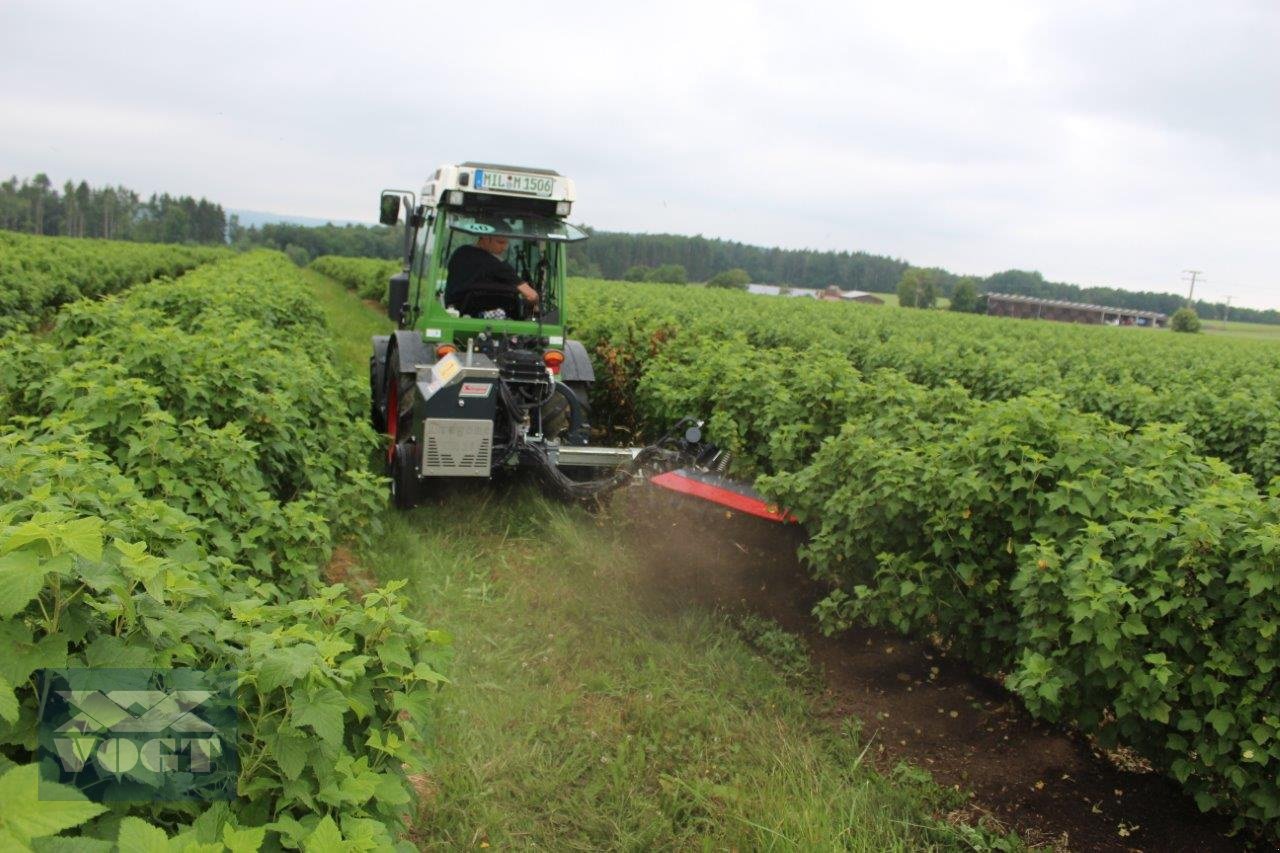Unterstockmulcher des Typs DRAGONE CR 65 Fadenmäher für Obst und Weinbau /Reihenkulturen, Neumaschine in Schmallenberg (Bild 7)