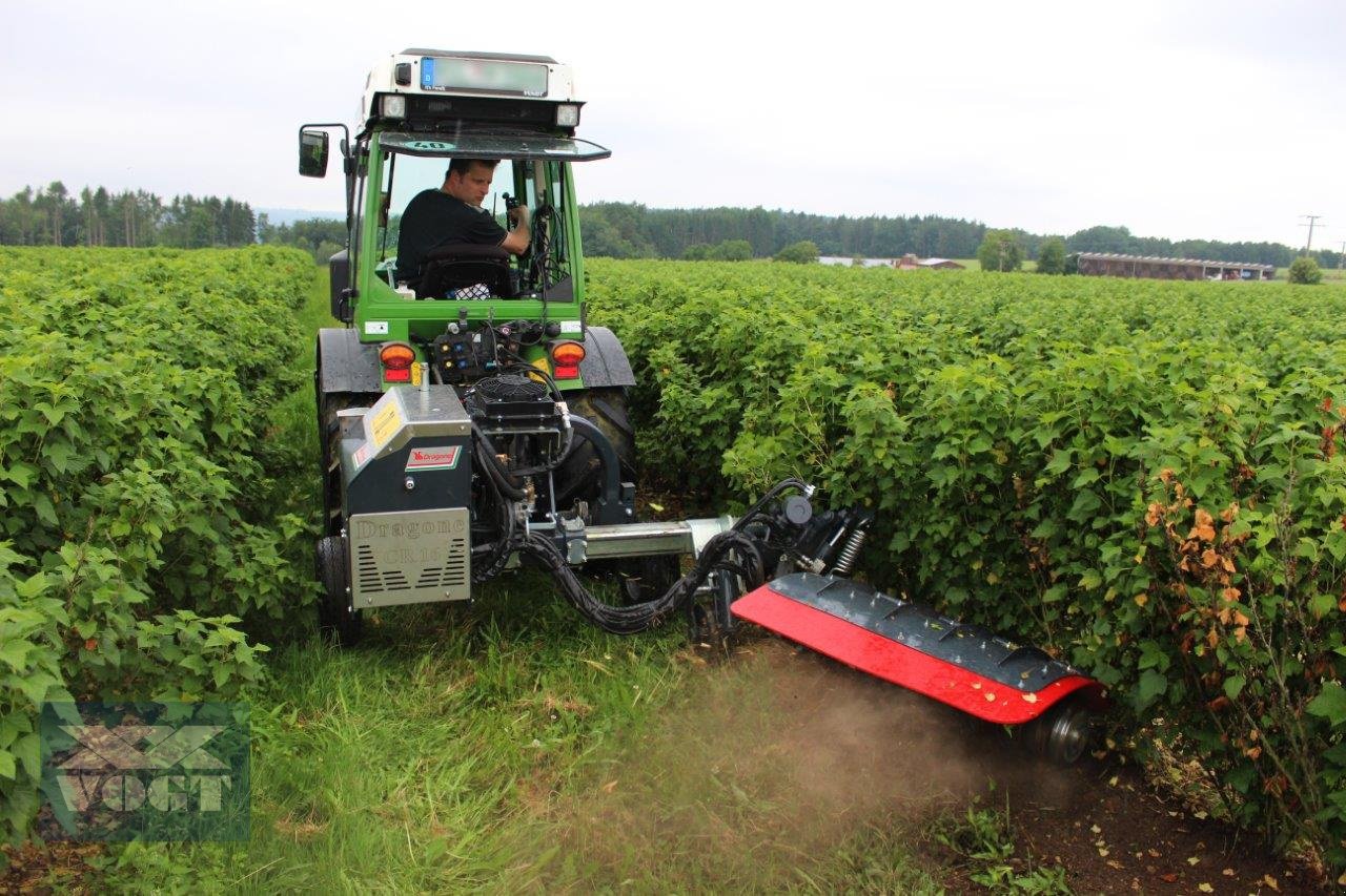 Unterstockmulcher des Typs DRAGONE CR 65 Fadenmäher für Obst und Weinbau /Reihenkulturen, Neumaschine in Schmallenberg (Bild 8)