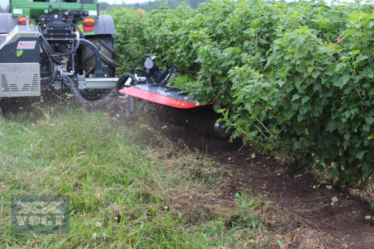 Unterstockmulcher des Typs DRAGONE CR 65 Fadenmäher für Obst und Weinbau /Reihenkulturen, Neumaschine in Schmallenberg (Bild 9)
