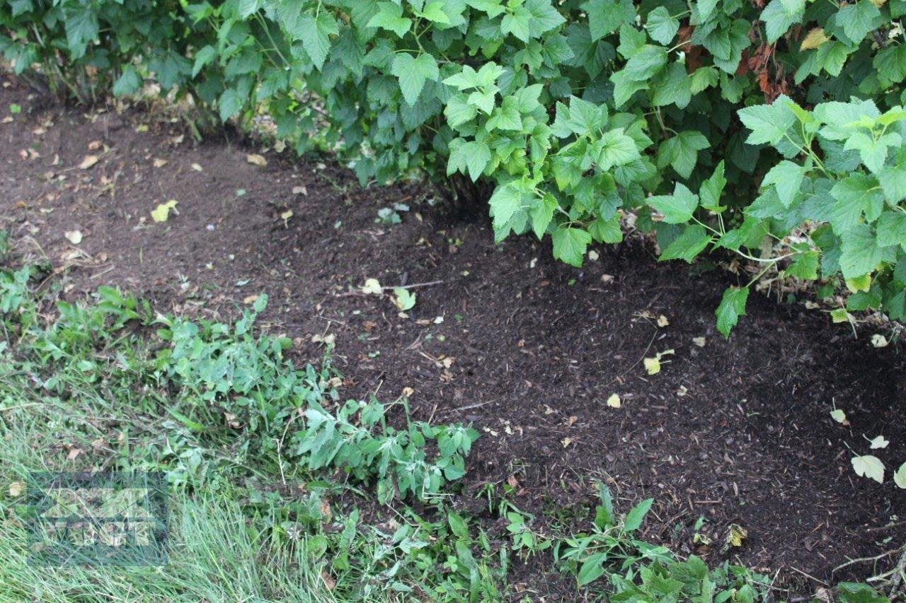 Unterstockmulcher des Typs DRAGONE CR 65 Fadenmäher für Obst und Weinbau /Reihenkulturen, Neumaschine in Schmallenberg (Bild 11)
