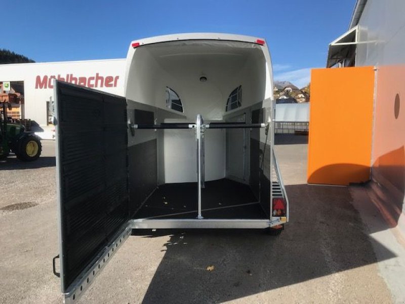 Viehanhänger des Typs Böckmann Pferdeanhänger Big Champion R, Neumaschine in Tamsweg (Bild 14)