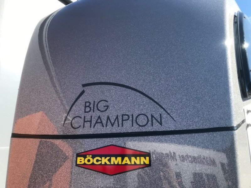 Viehanhänger des Typs Böckmann Pferdeanhänger Big Champion R, Neumaschine in Tamsweg (Bild 3)