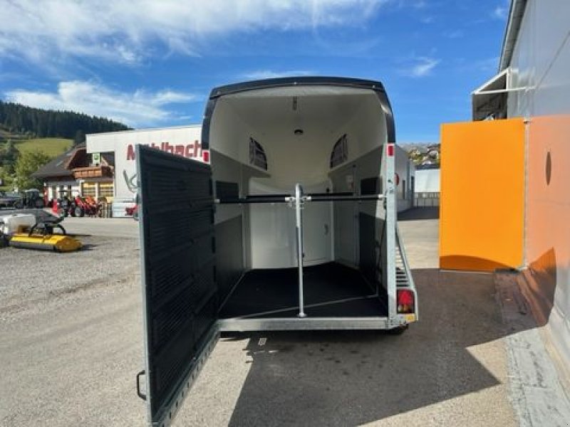 Viehanhänger of the type Böckmann Pferdeanhänger Big Champion SKA 3,50x1,75m 2,7to, Neumaschine in Tamsweg (Picture 13)