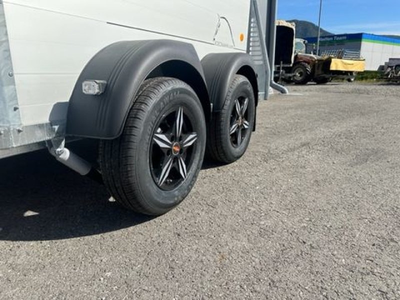 Viehanhänger of the type Böckmann Pferdeanhänger Big Champion SKA 3,50x1,75m 2,7to, Neumaschine in Tamsweg (Picture 4)