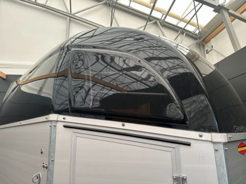 Viehanhänger typu Böckmann Pferdeanhänger Champion C 2,7to 3,10x1,65m, Neumaschine v Tamsweg (Obrázek 5)