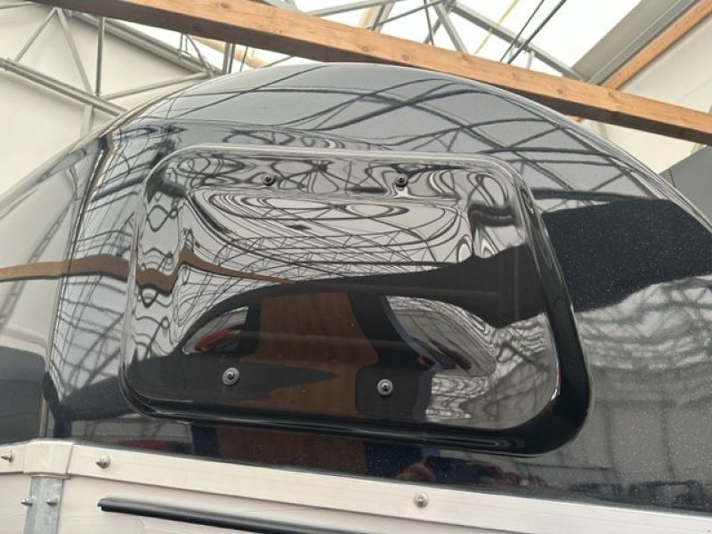 Viehanhänger des Typs Böckmann Pferdeanhänger Champion Esprit s+b 2400kg, Neumaschine in Tamsweg (Bild 12)