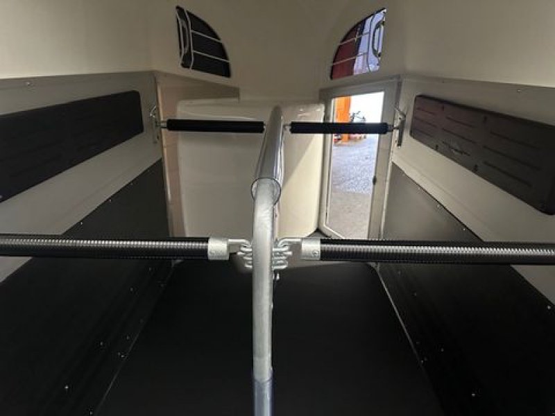 Viehanhänger of the type Böckmann Pferdeanhänger Champion R 2,4to 3,28x1,65m, Neumaschine in Tamsweg (Picture 15)