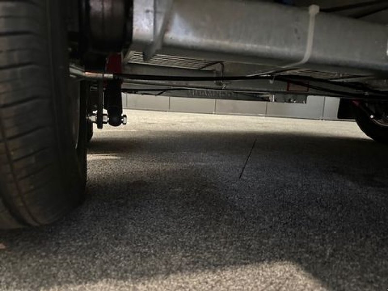 Viehanhänger of the type Böckmann Pferdeanhänger Champion R 2,4to 3,28x1,65m, Neumaschine in Tamsweg (Picture 4)