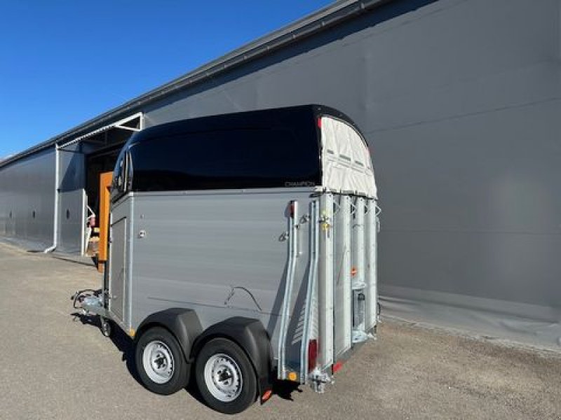 Viehanhänger des Typs Böckmann Pferdeanhänger Champion R 2,7to 3,28x1,65m, Neumaschine in Tamsweg (Bild 10)