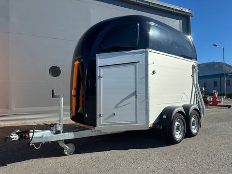 Viehanhänger des Typs Böckmann Pferdeanhänger Champion R 2,7to 3,28x1,65m, Neumaschine in Tamsweg (Bild 1)