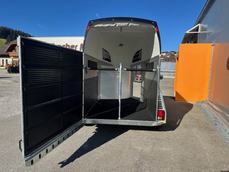 Viehanhänger des Typs Böckmann Pferdeanhänger Champion R 2,7to 3,28x1,65m, Neumaschine in Tamsweg (Bild 13)