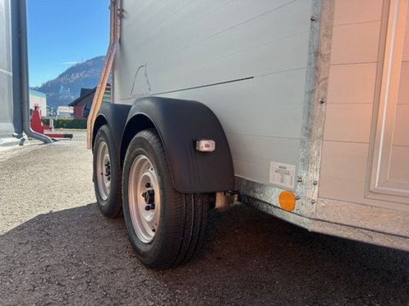 Viehanhänger des Typs Böckmann Pferdeanhänger Champion R 2,7to 3,28x1,65m, Neumaschine in Tamsweg (Bild 7)